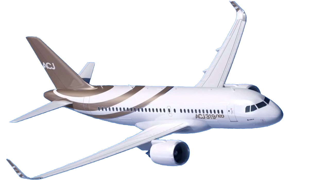 տACJ319neo